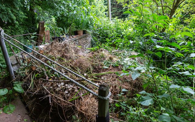 A compost heap with hedge trimmings