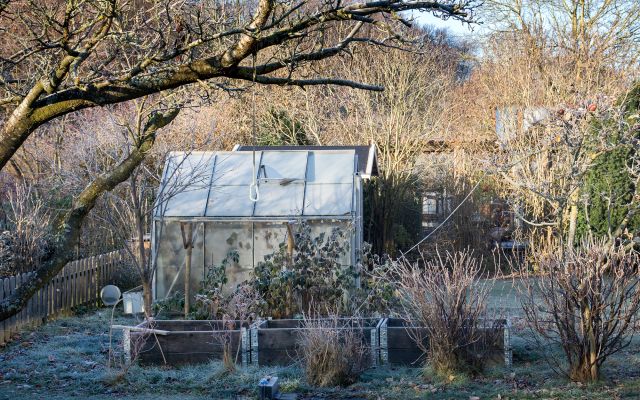 photo of a garden in frost